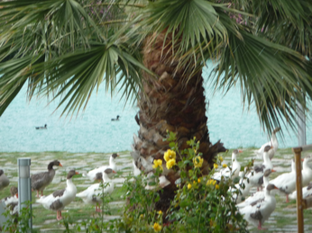 P1040674.JPG 3456x2592 index 430